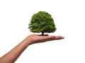 PetcoEcoserv